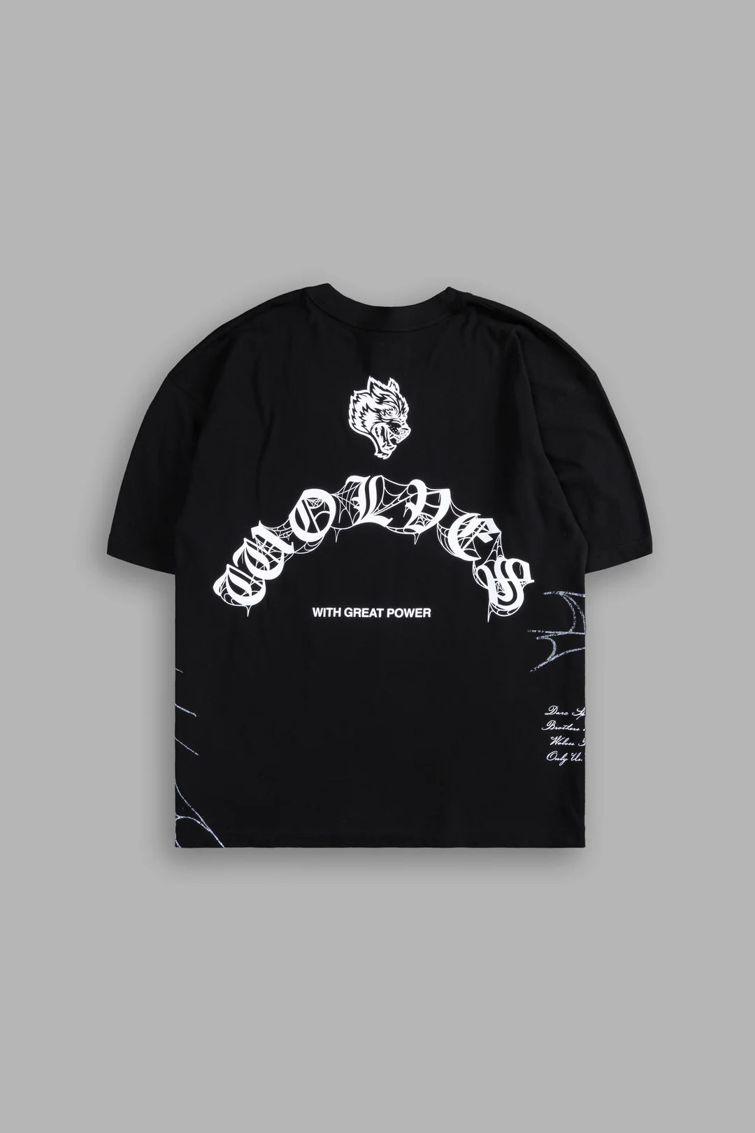 DARC SPORT SPIDERMAN OVERSIZED TEE